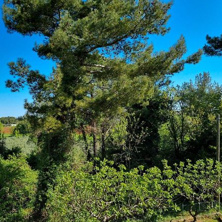Juli No 2 Daire Poreč Dış mekan fotoğraf
