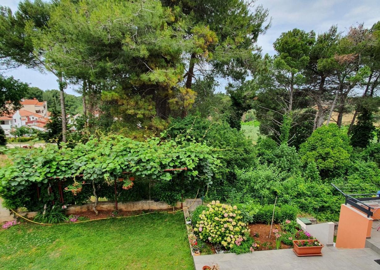 Juli No 2 Daire Poreč Dış mekan fotoğraf