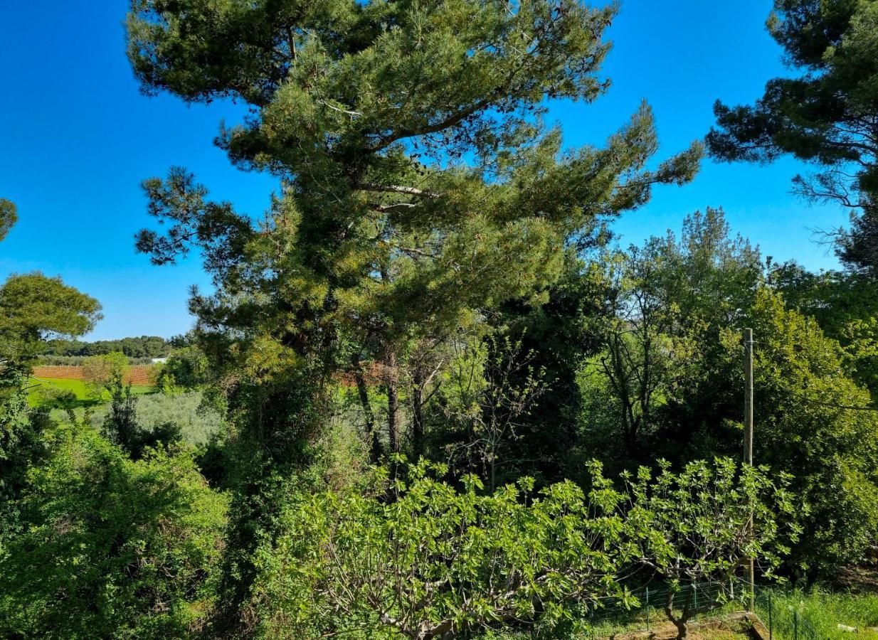 Juli No 2 Daire Poreč Dış mekan fotoğraf